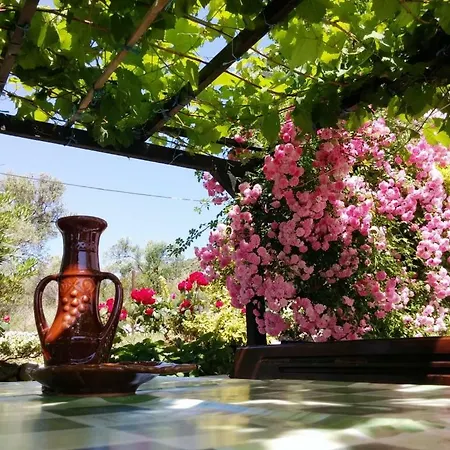 House In With Terrace, W-lan بيت للعطل *